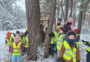 Cūkmena detektīvi: Ziemas piedzīvojums mežā – Putnu barošana