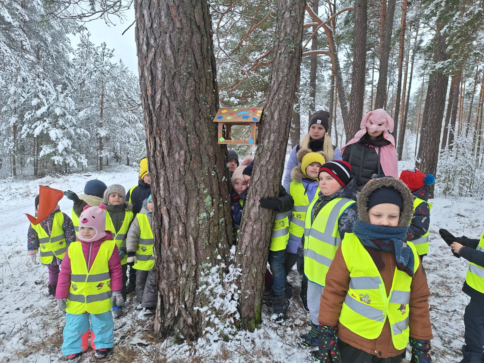 Cūkmena detektīvi: Ziemas piedzīvojums mežā – Putnu barošana