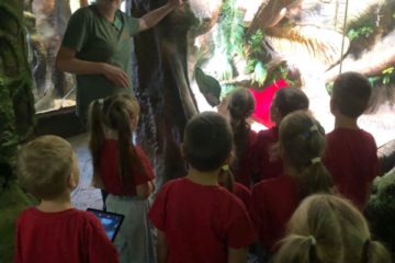 Ekskursija uz Latgales zoodārzu 8