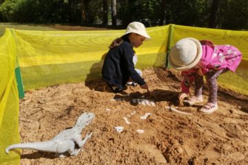 Erasmus+ projekta ORE aktivitāte “Mazo paleontologu nometne” 70