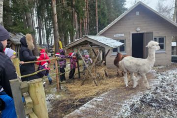 Piparkūku meistarklase. Silene Resort&SPA 23