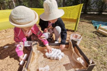 Erasmus+ projekta ORE aktivitāte “Mazo paleontologu nometne” 25